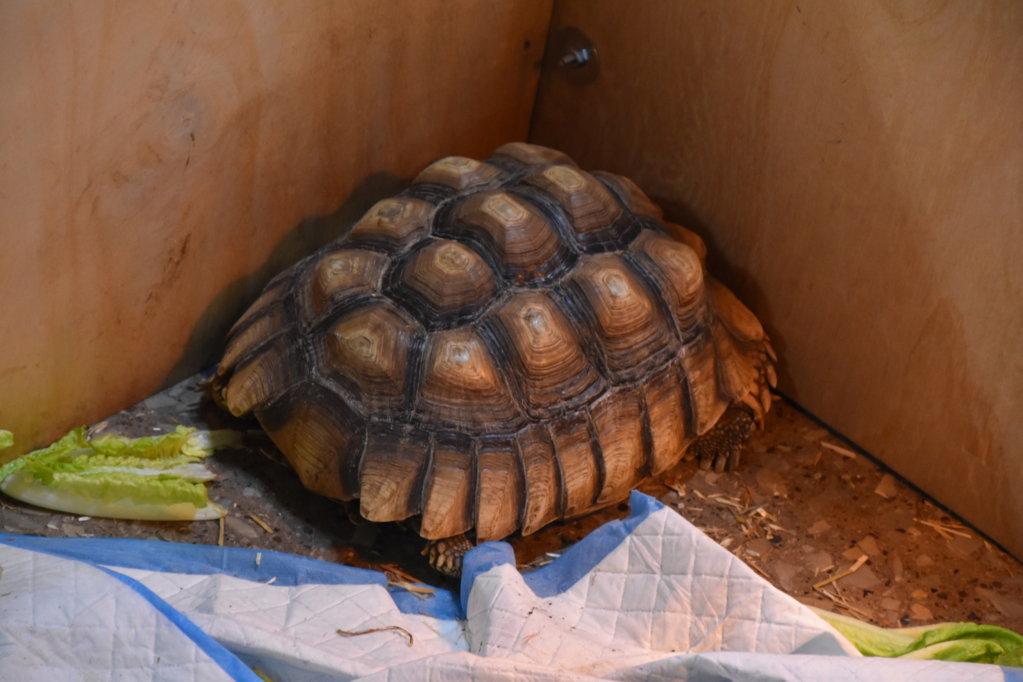 EB1_0507.jpg