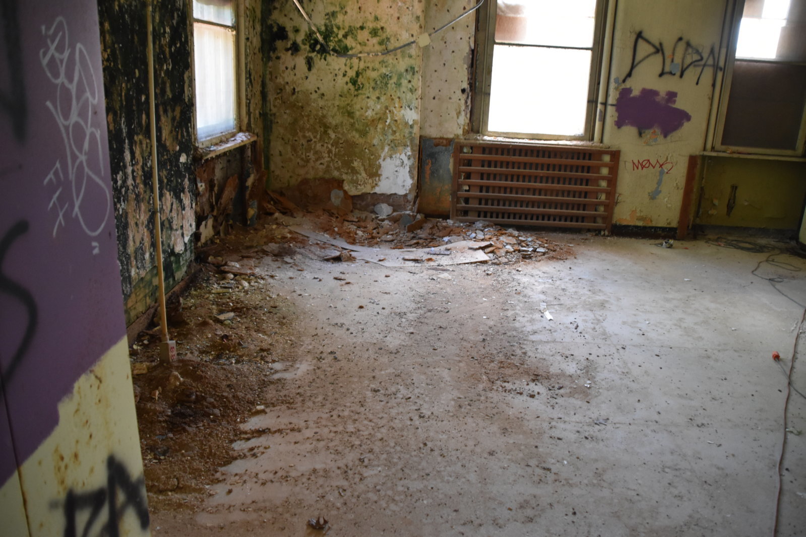 EB1_0780.jpg