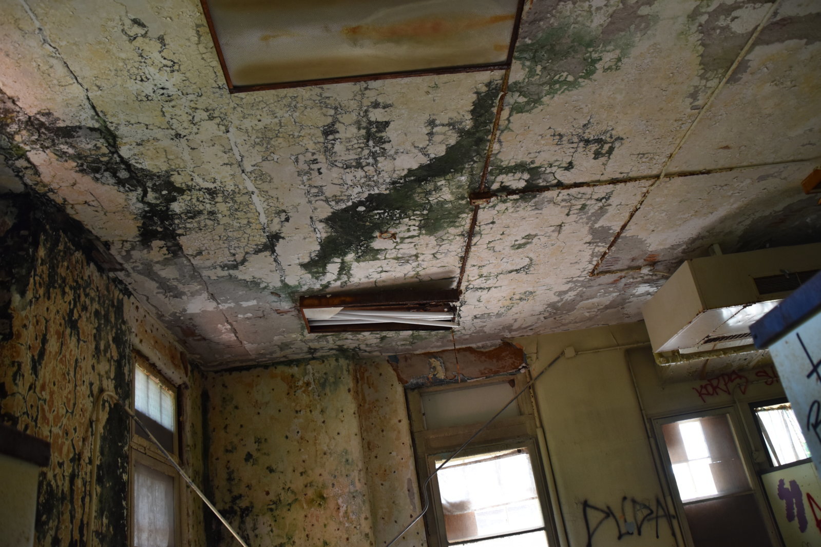 EB1_0782.jpg
