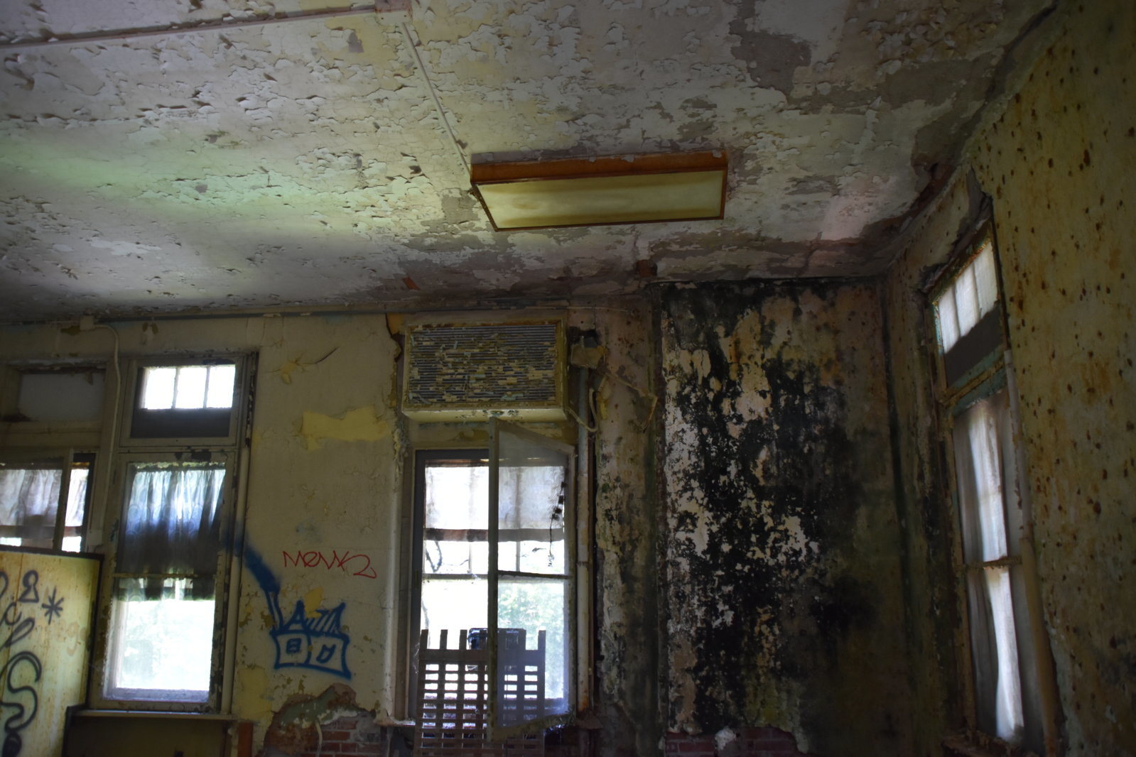 EB1_0785.jpg