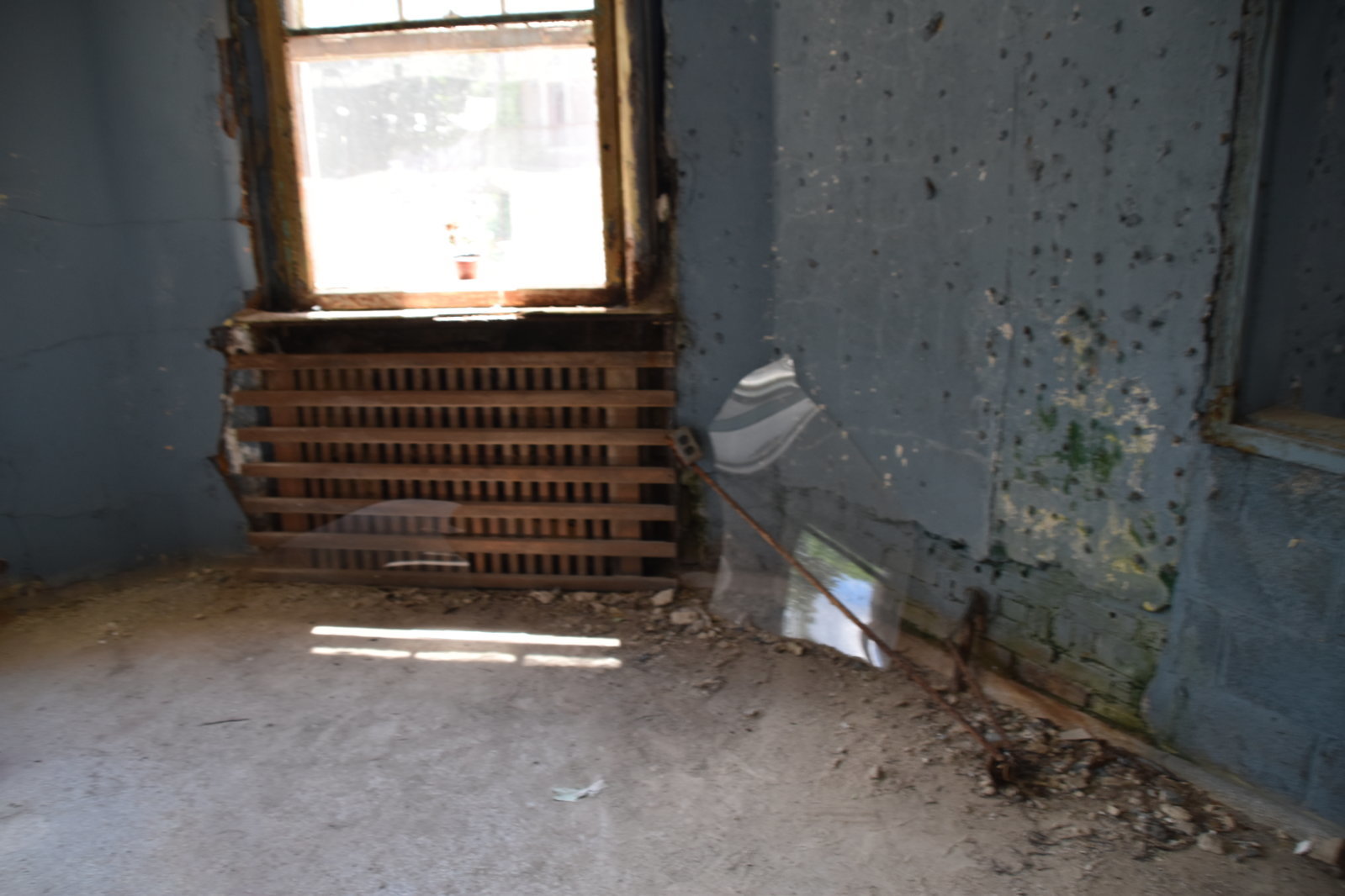 EB1_0810.jpg