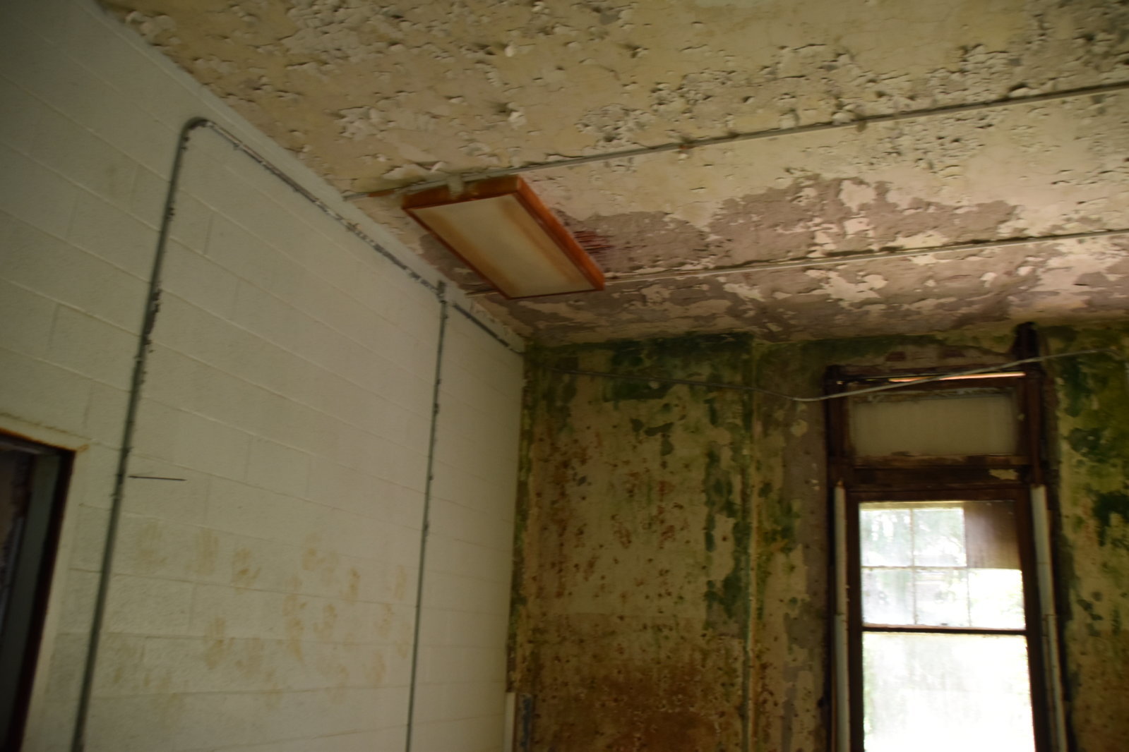 EB1_0863.jpg