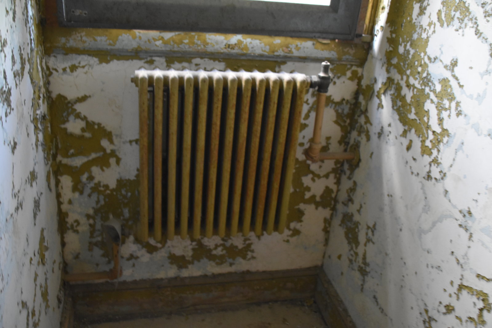 EB1_0909.jpg