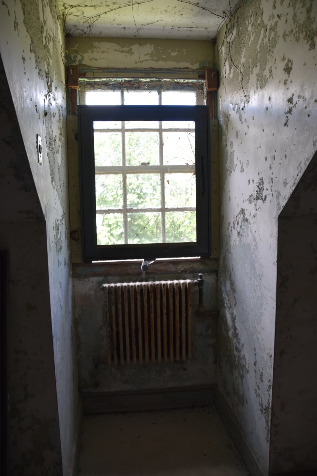 EB1_0918.jpg