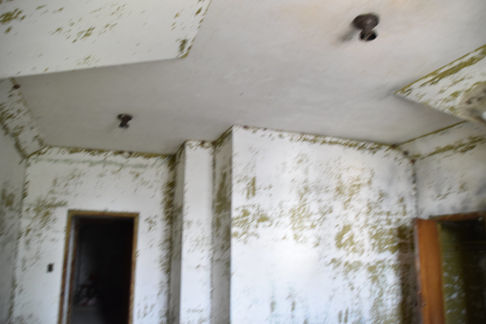 EB1_0973.jpg
