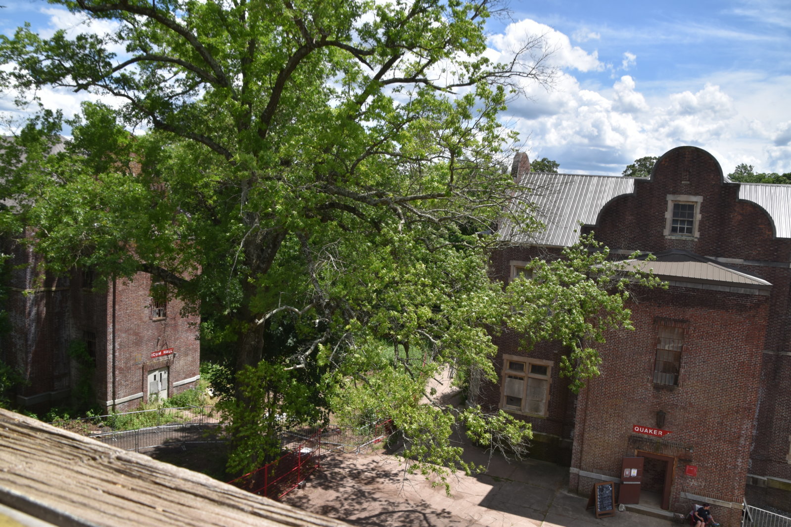 EB1_0976.jpg