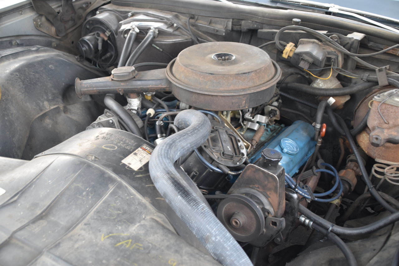EB1_1019.jpg