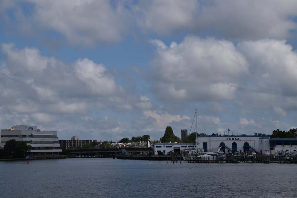 EB1_1438.jpg