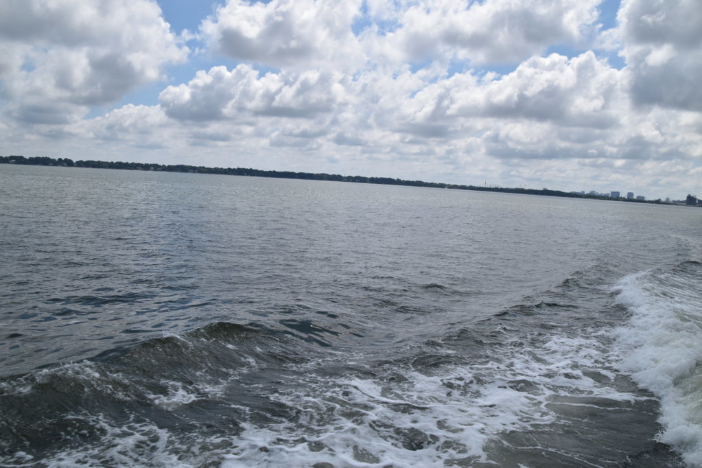 EB1_1507.jpg