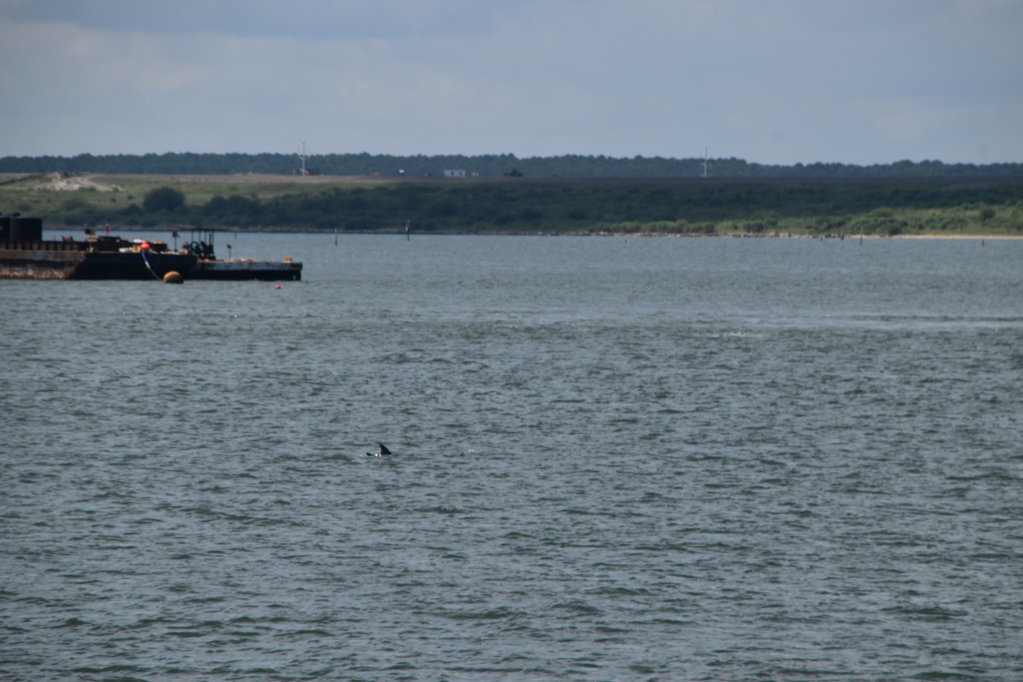 EB1_1534.jpg