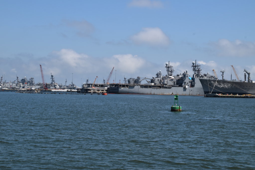 EB1_1542.jpg