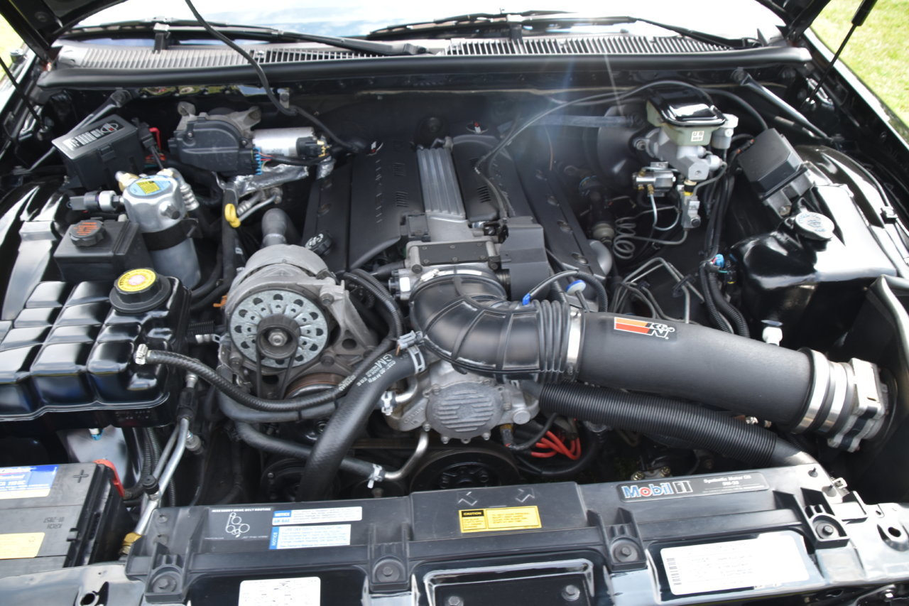 EB1_1600.jpg