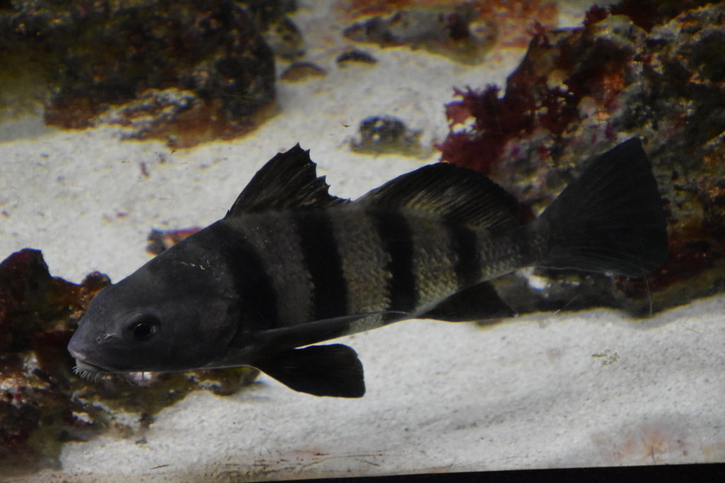 EB1_1667.jpg