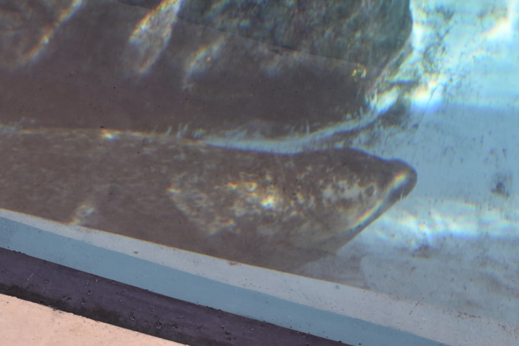 EB1_1692.jpg