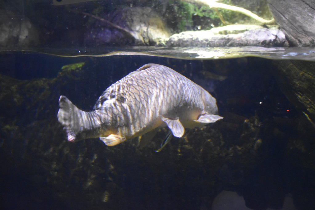 EB1_1702.jpg