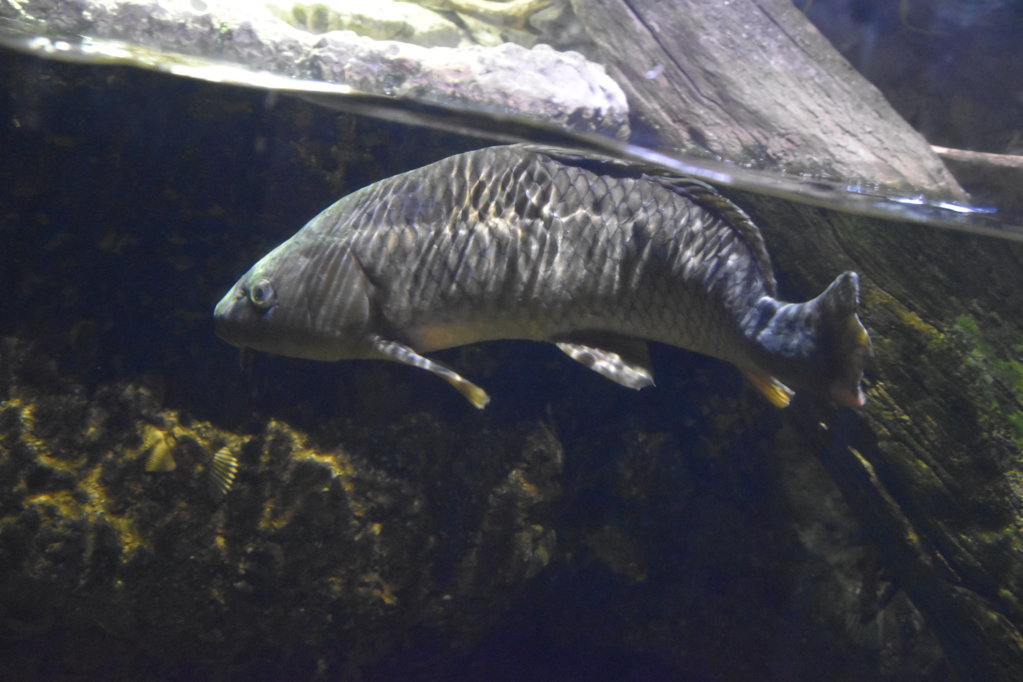 EB1_1703.jpg