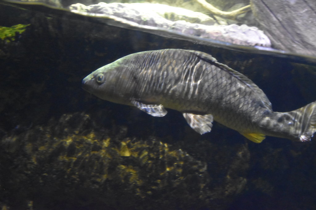 EB1_1704.jpg