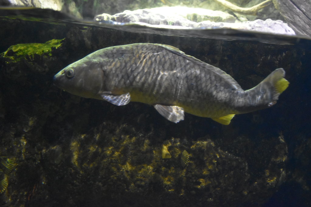EB1_1705.jpg