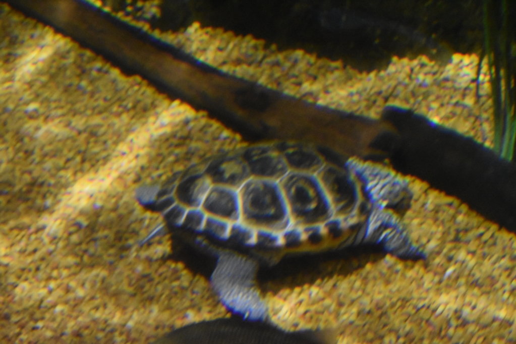 EB1_1706.jpg