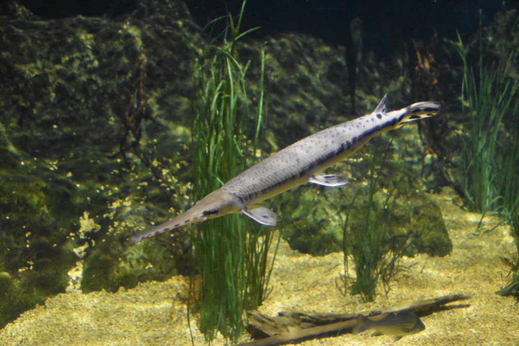 EB1_1707.jpg