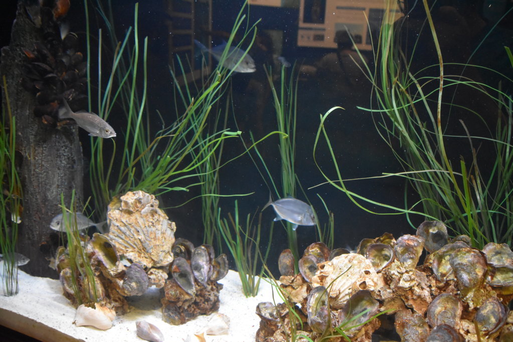 EB1_1709.jpg