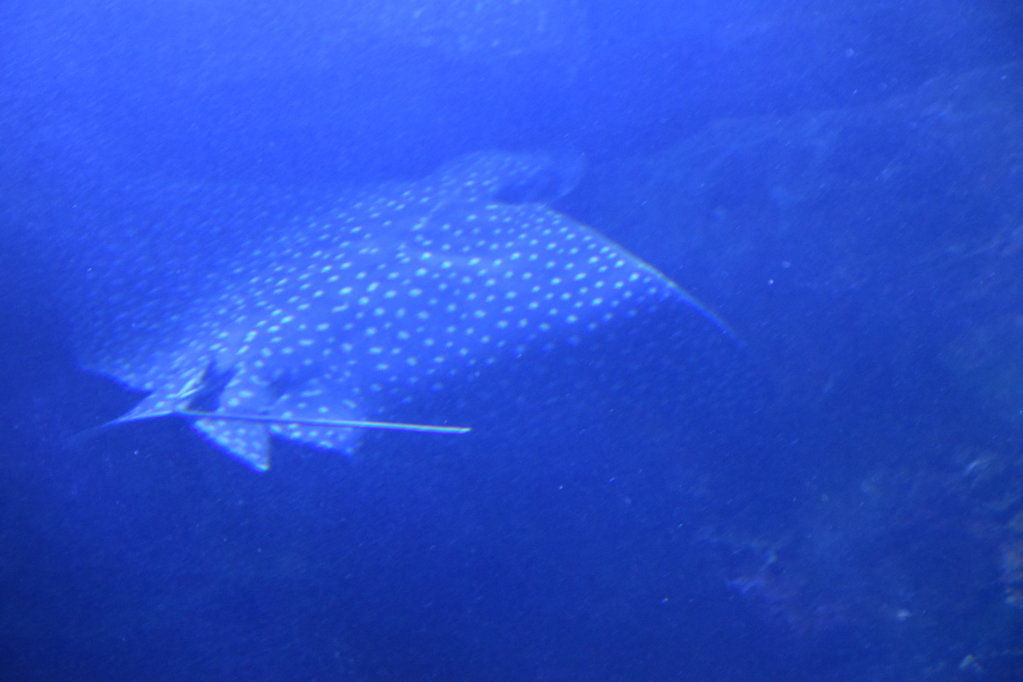 EB1_1732.jpg