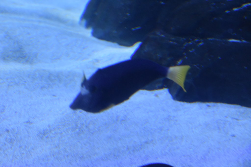 EB1_1733.jpg
