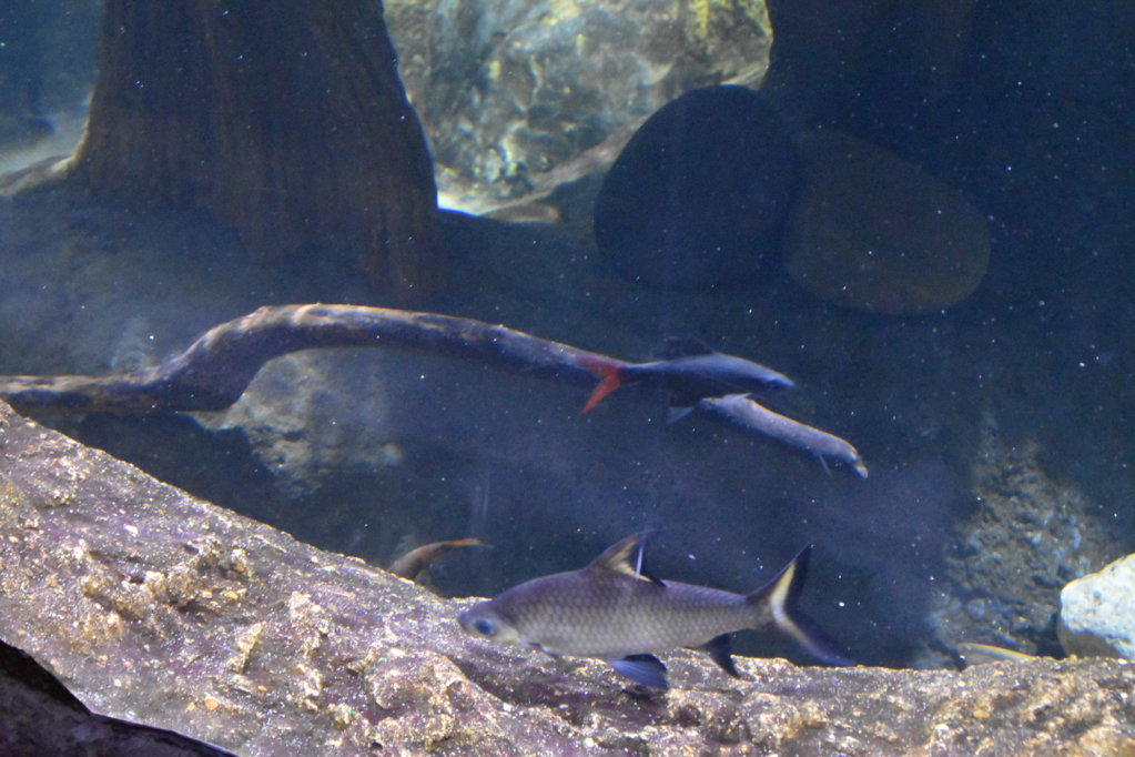 EB1_1760.jpg