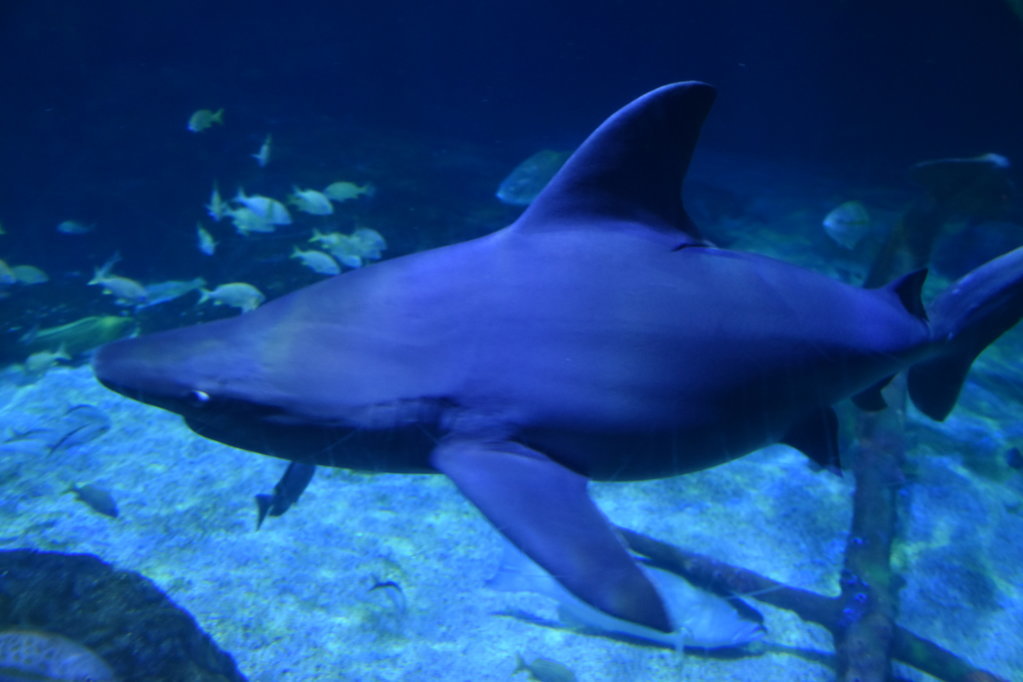 EB1_1769.jpg