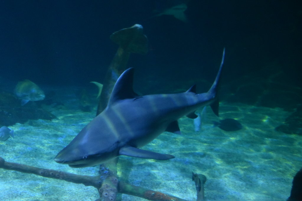 EB1_1770.jpg