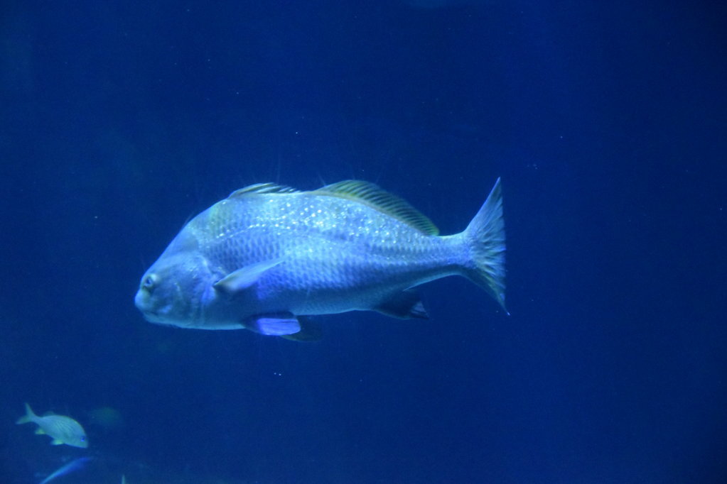EB1_1771.jpg
