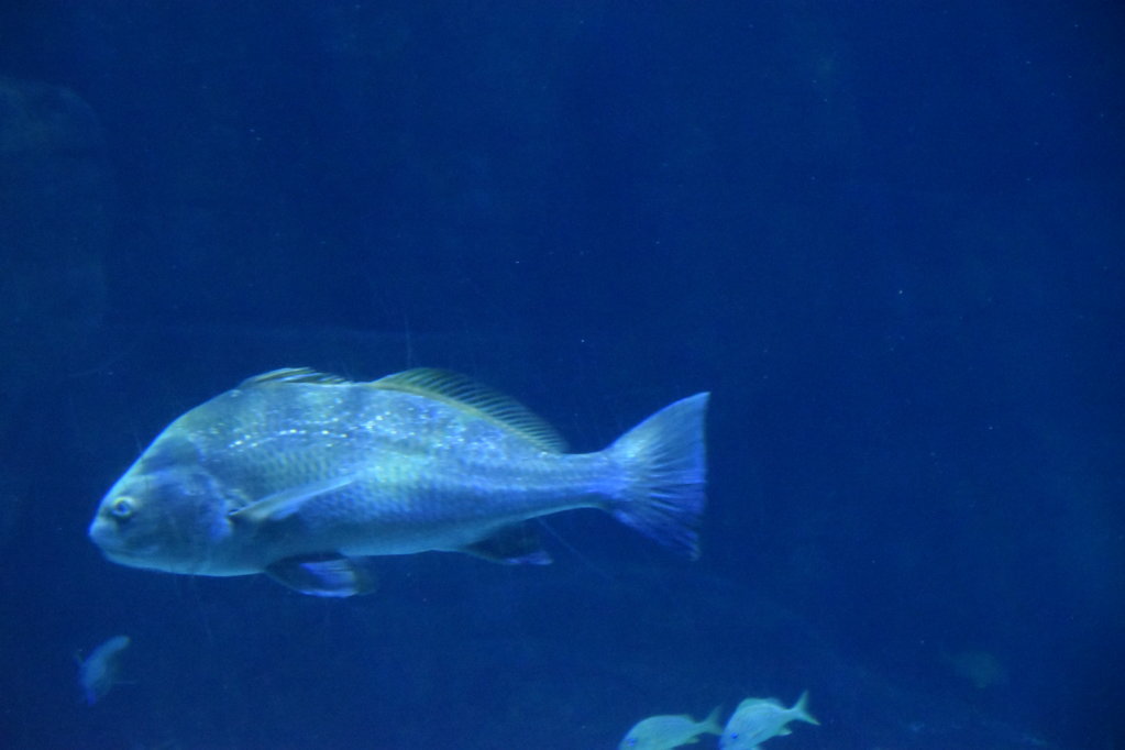 EB1_1773.jpg