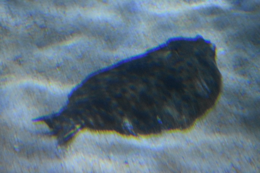 EB1_1783.jpg