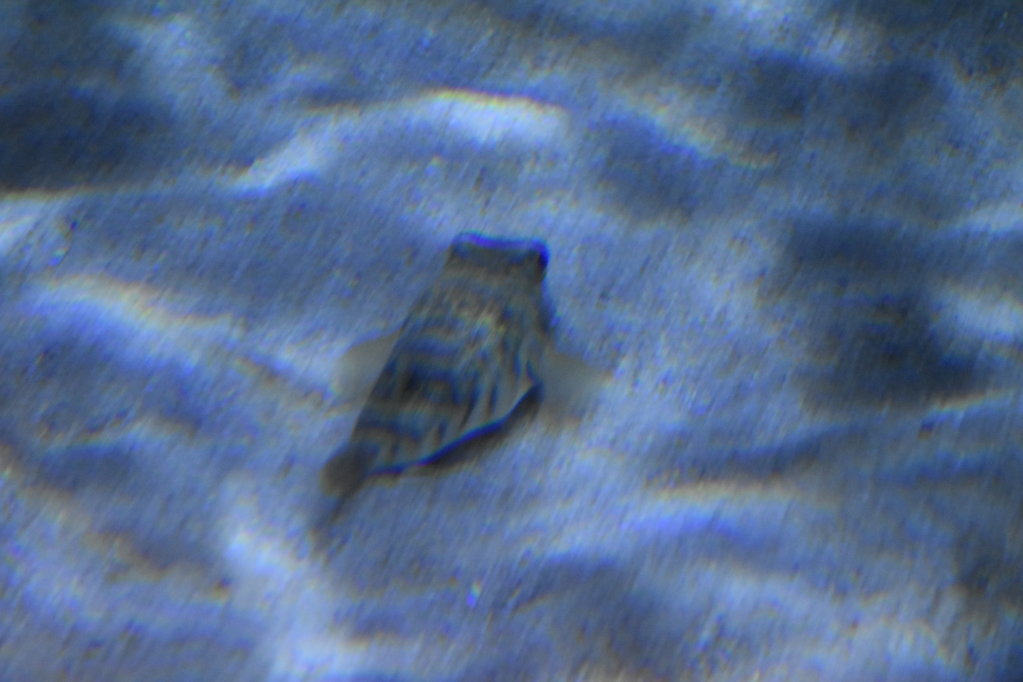 EB1_1785.jpg