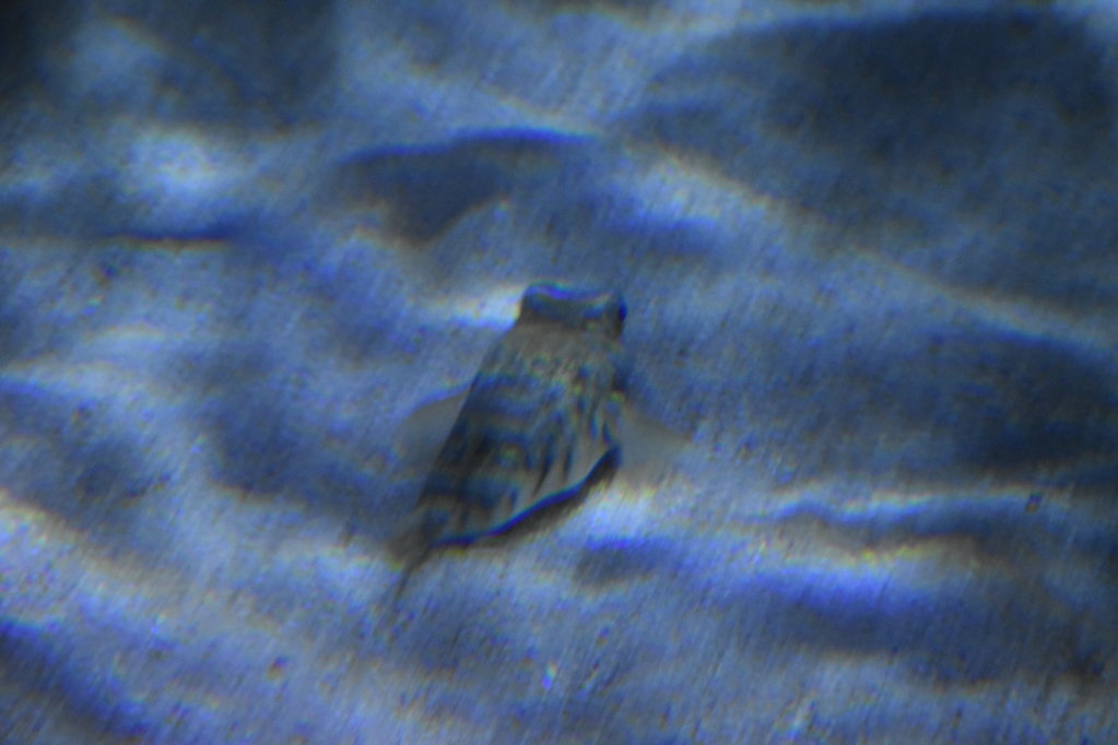 EB1_1786.jpg