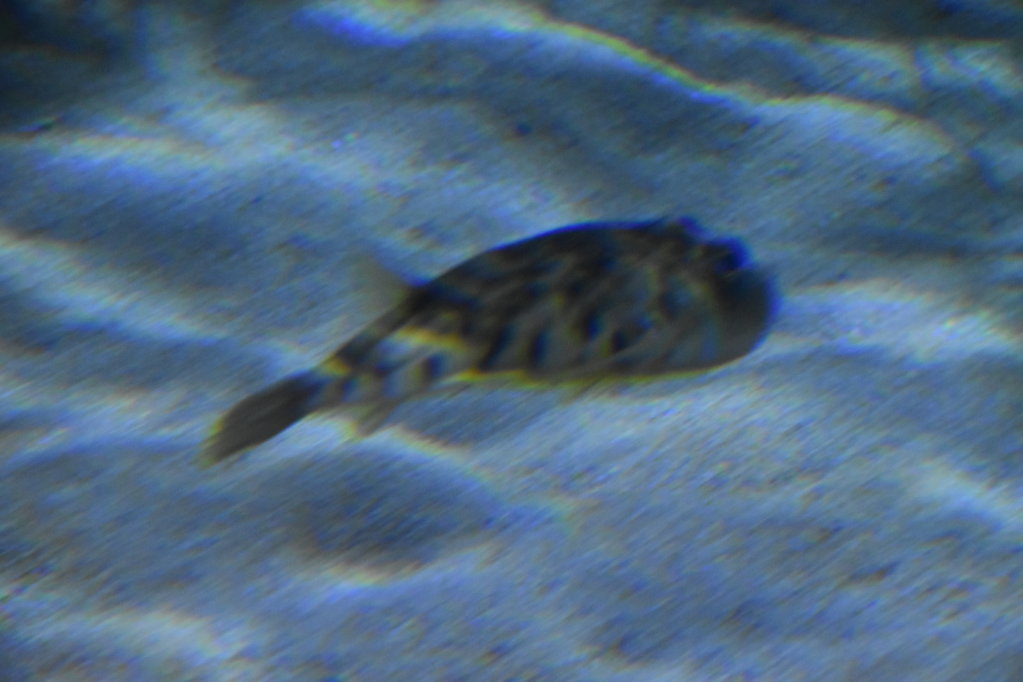 EB1_1787.jpg