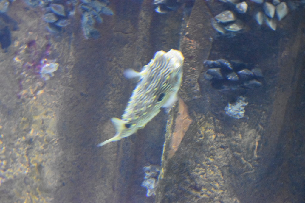 EB1_1791.jpg