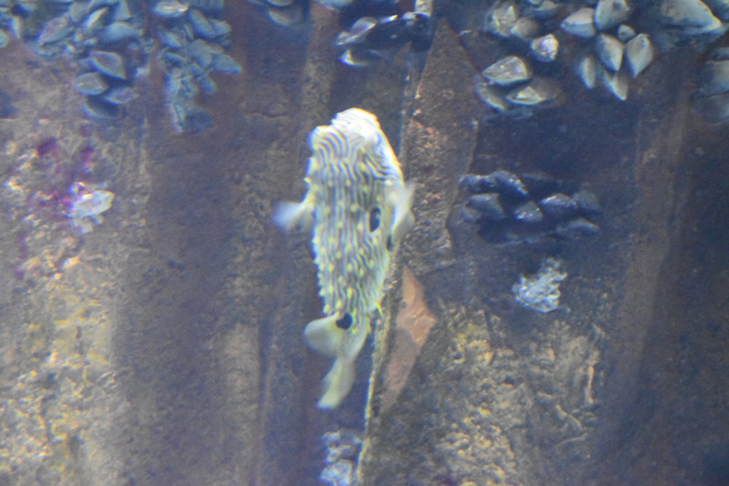 EB1_1792.jpg
