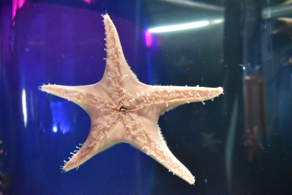 EB1_1852.jpg