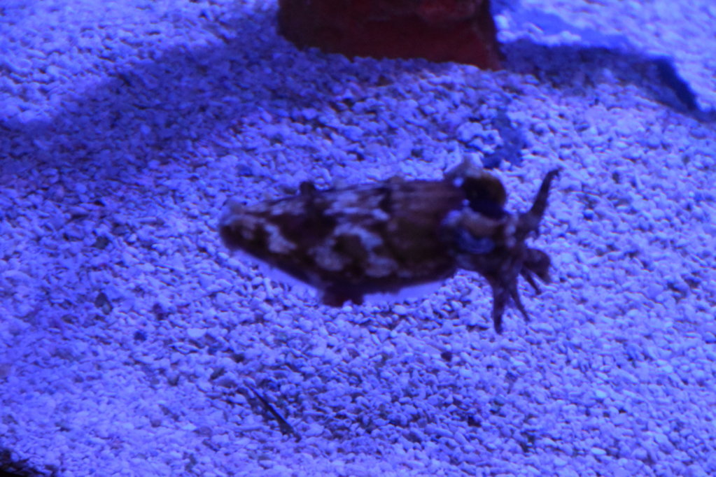 EB1_1880.jpg