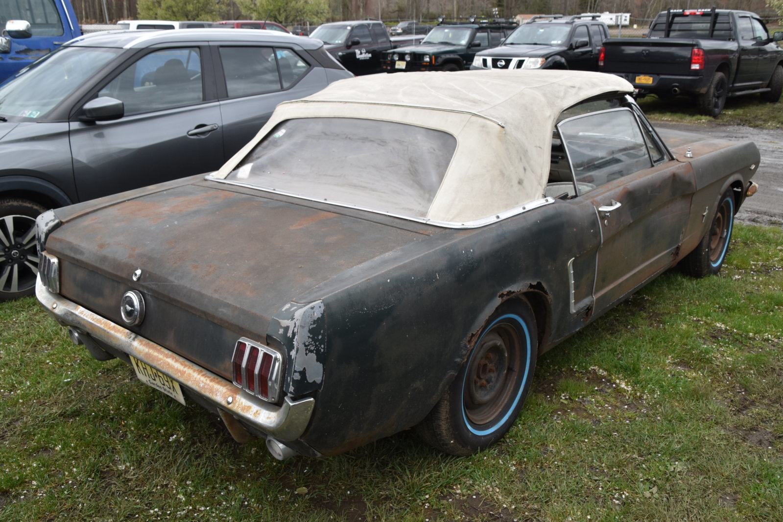 EB1_2465.jpg