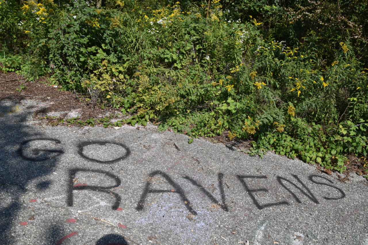 EB1_3008.jpg