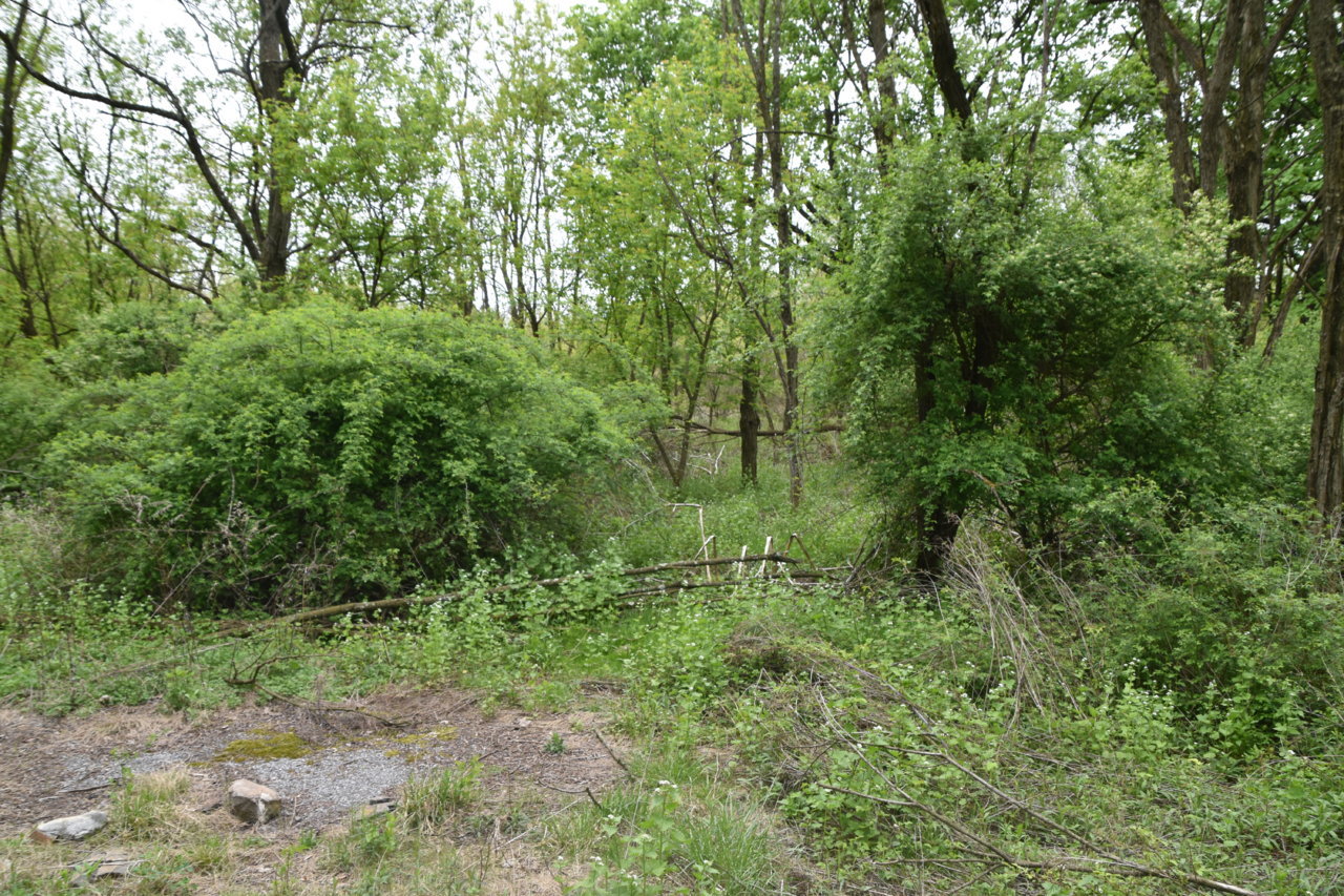 EB1_3090.jpg