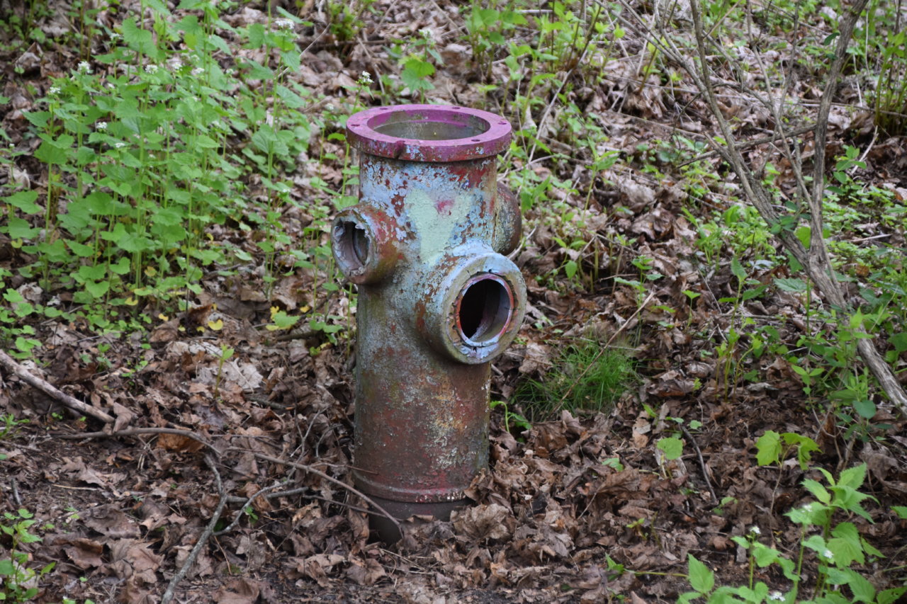 EB1_3092.jpg