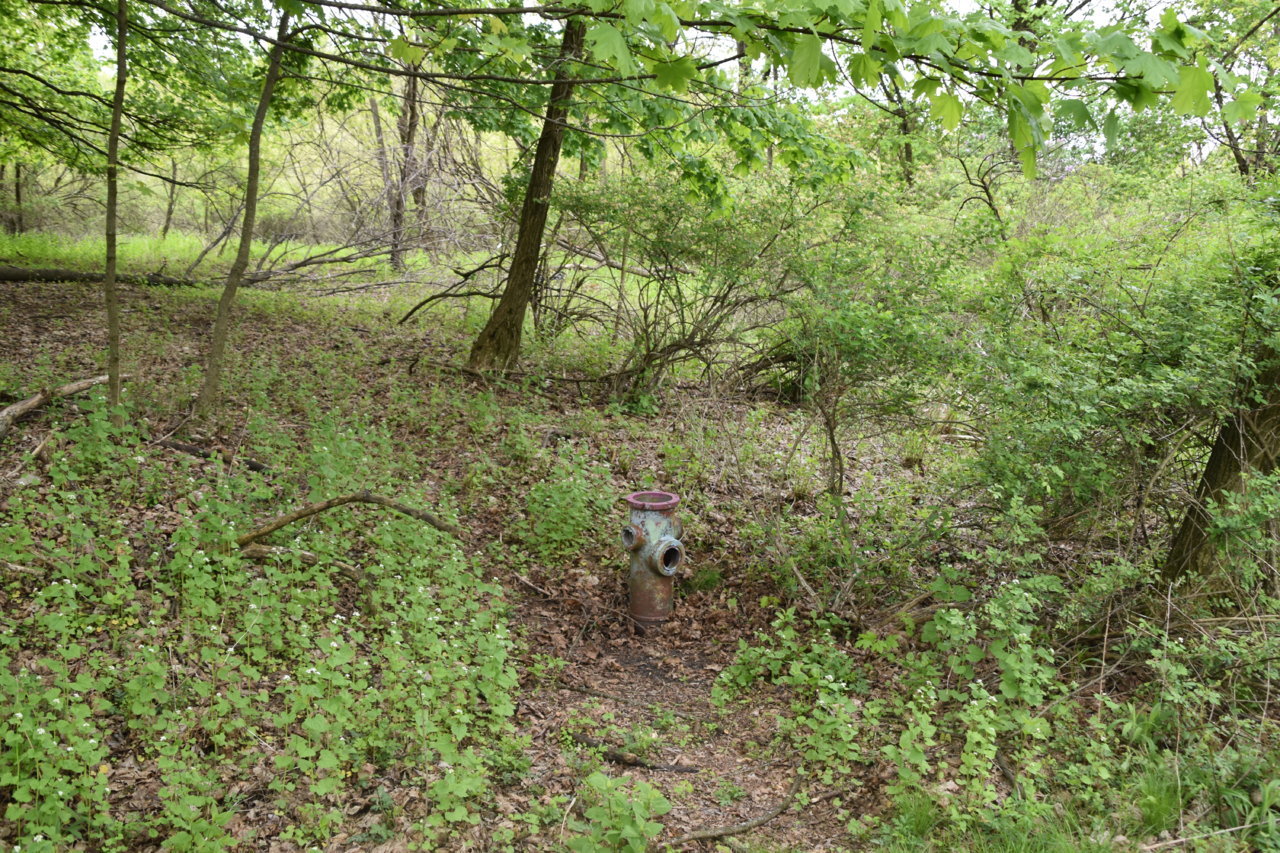EB1_3093.jpg