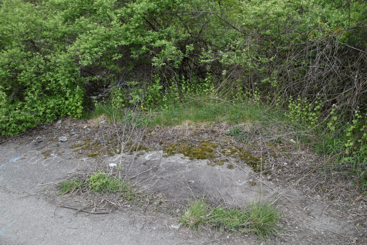 EB1_3099.jpg