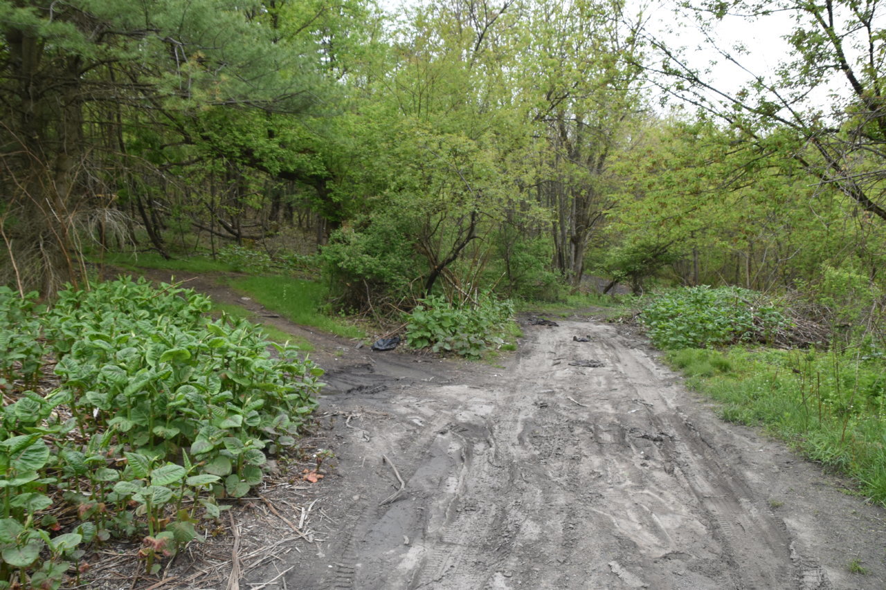 EB1_3105.jpg