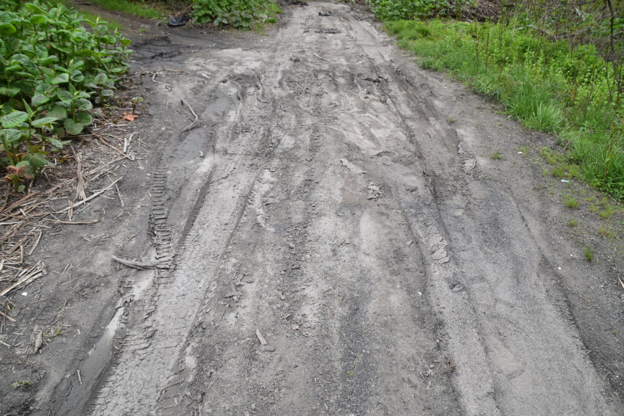 EB1_3106.jpg