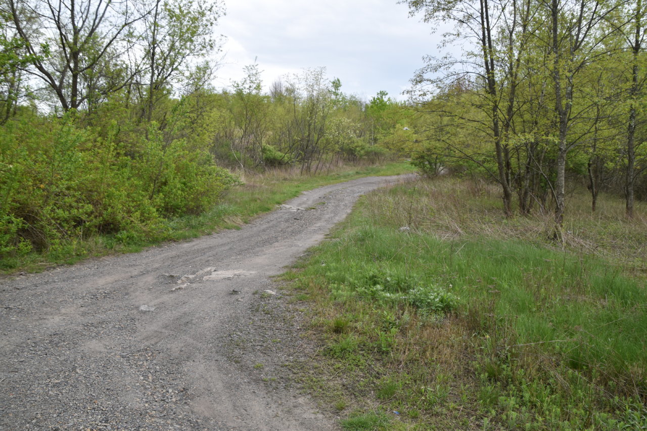 EB1_3111.jpg
