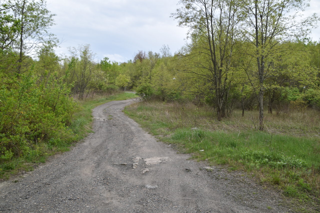 EB1_3112.jpg